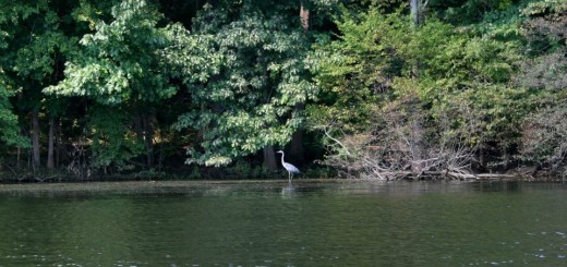 Gifford State Park