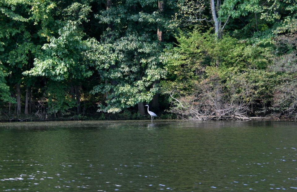 Gifford State Park